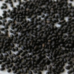 Basil Seeds (তোকমা দানা) 1 kg