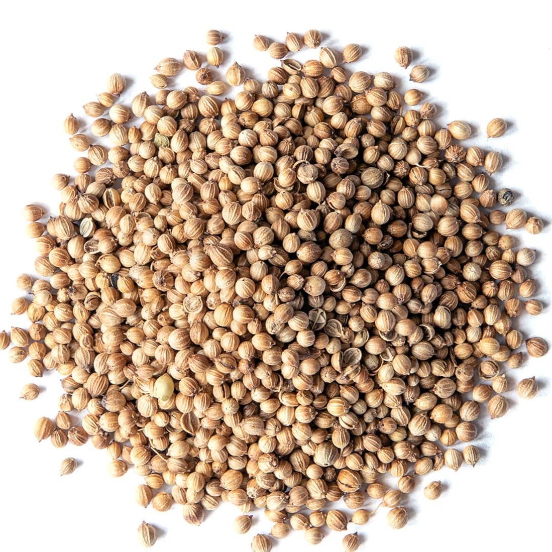 Coriander Seeds Coriander Seeds (ধনিয়া বীজ) 1 kg - Image 1